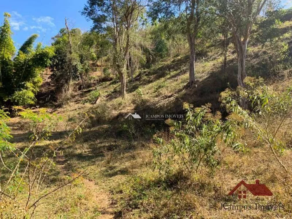 Terreno, 3 hectares - Foto 21