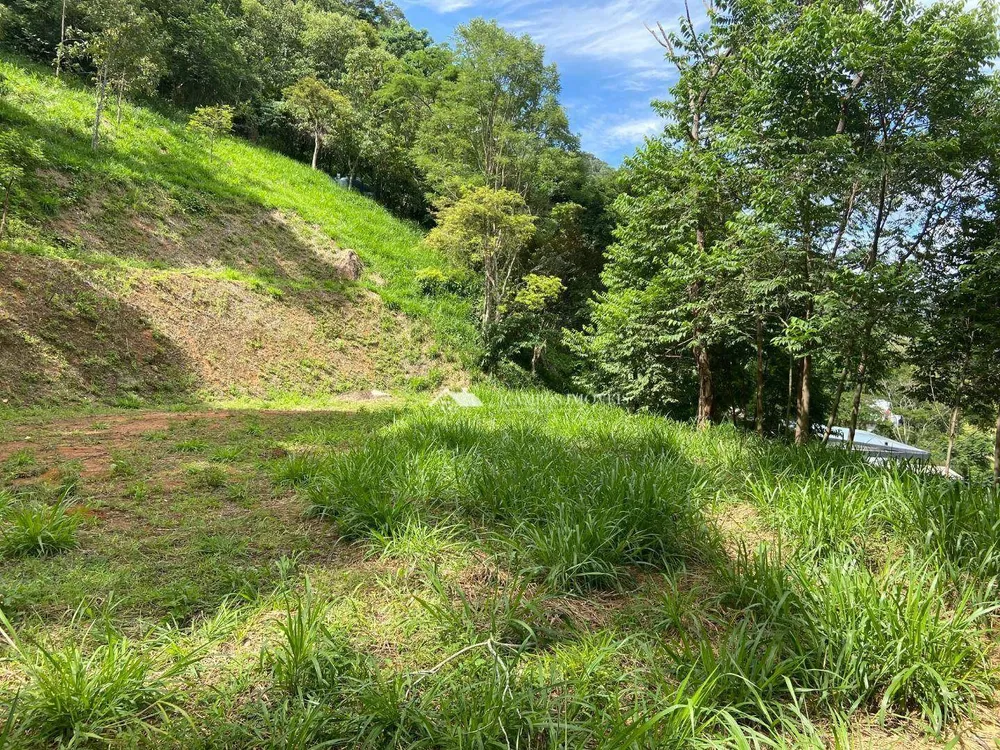 Terreno, 3000 m² - Foto 4