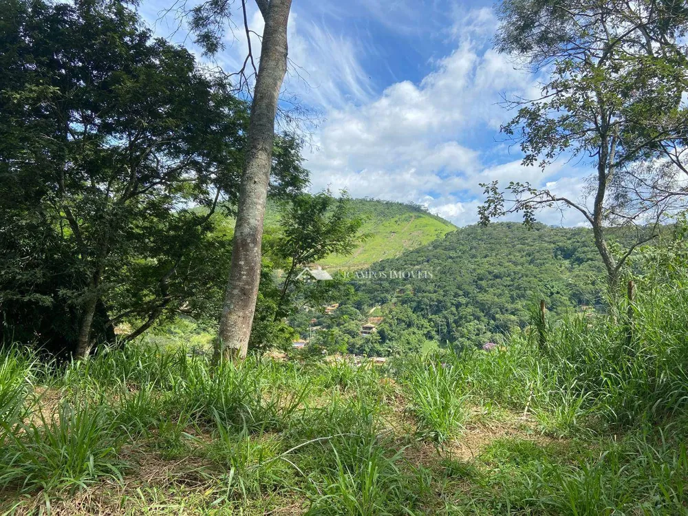 Terreno, 3000 m² - Foto 7