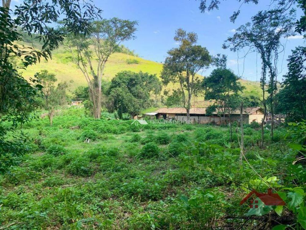 Terreno, 4500 m² - Foto 7