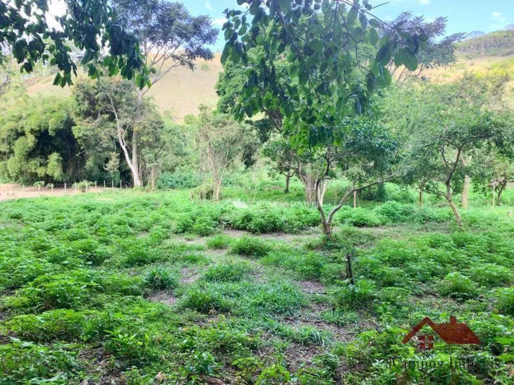 Terreno, 4500 m² - Foto 5