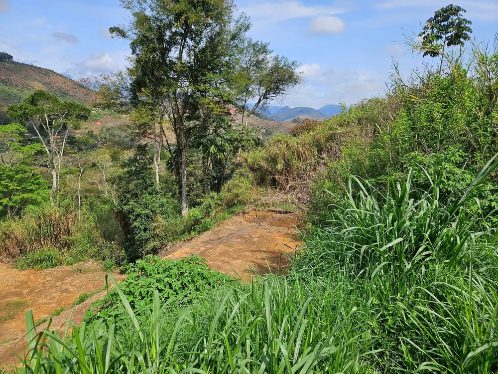 Terreno, 1250 m² - Foto 9