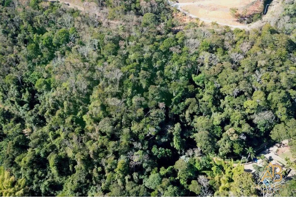 Terreno, 2 hectares - Foto 4