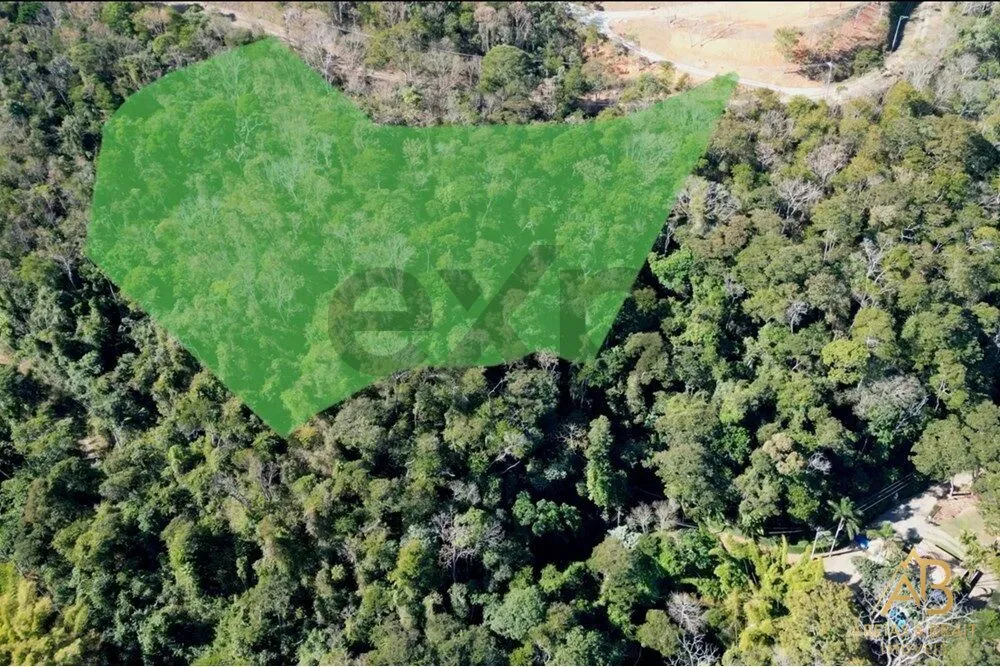 Terreno, 2 hectares - Foto 3