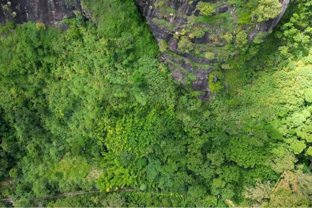 Terreno, 2 hectares - Foto 3