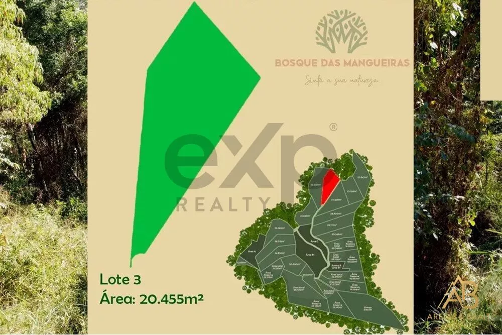 Terreno, 2 hectares - Foto 5