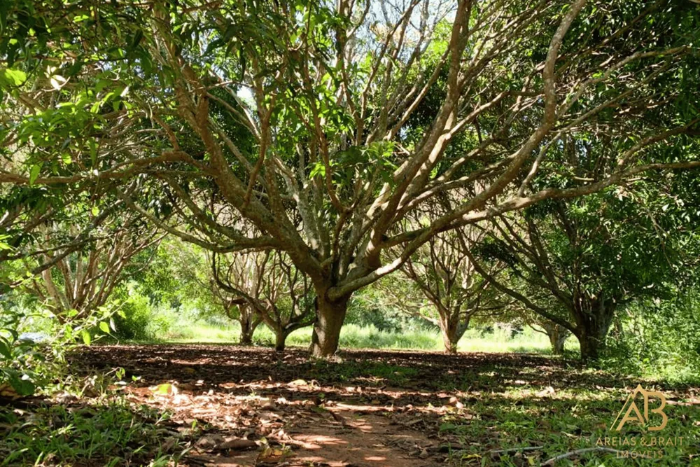 Terreno, 2 hectares - Foto 13