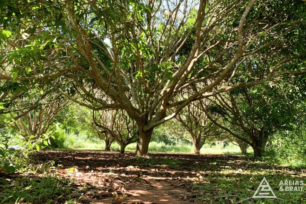 Terreno, 2 hectares - Foto 46