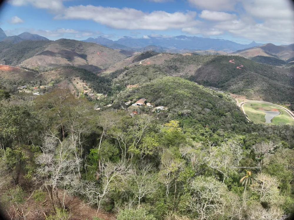 Terreno, 5 hectares - Foto 4