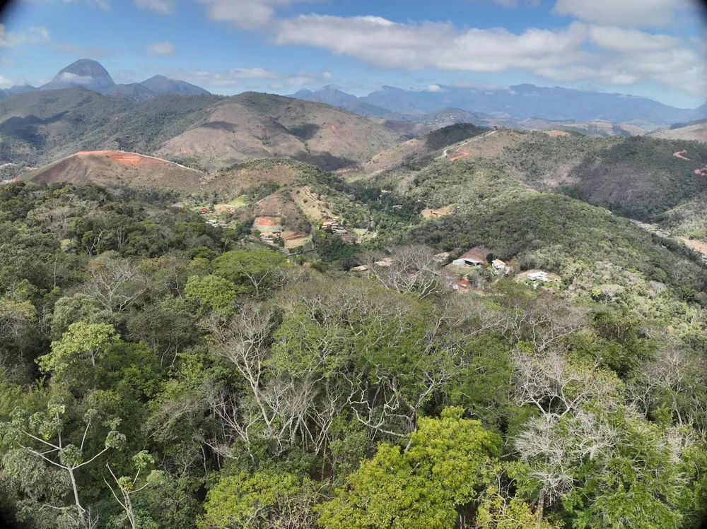 Terreno, 5 hectares - Foto 14