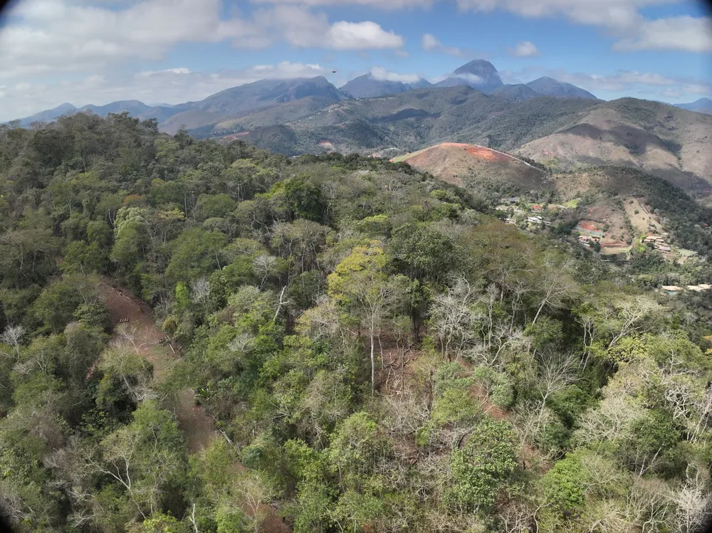 Terreno, 5 hectares - Foto 3