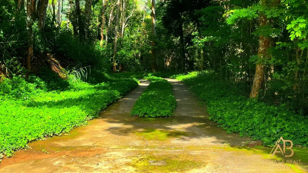 Terreno, 18 hectares - Foto 7