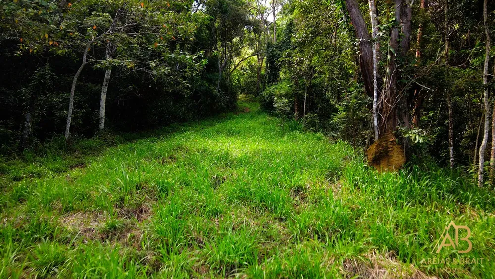 Terreno, 18 hectares - Foto 10