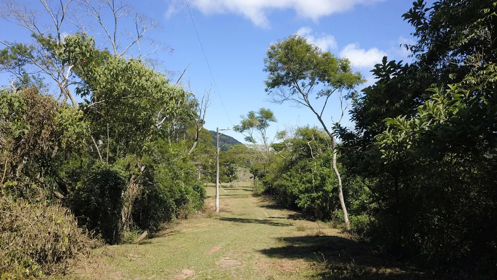 Terreno, 2 hectares - Foto 3