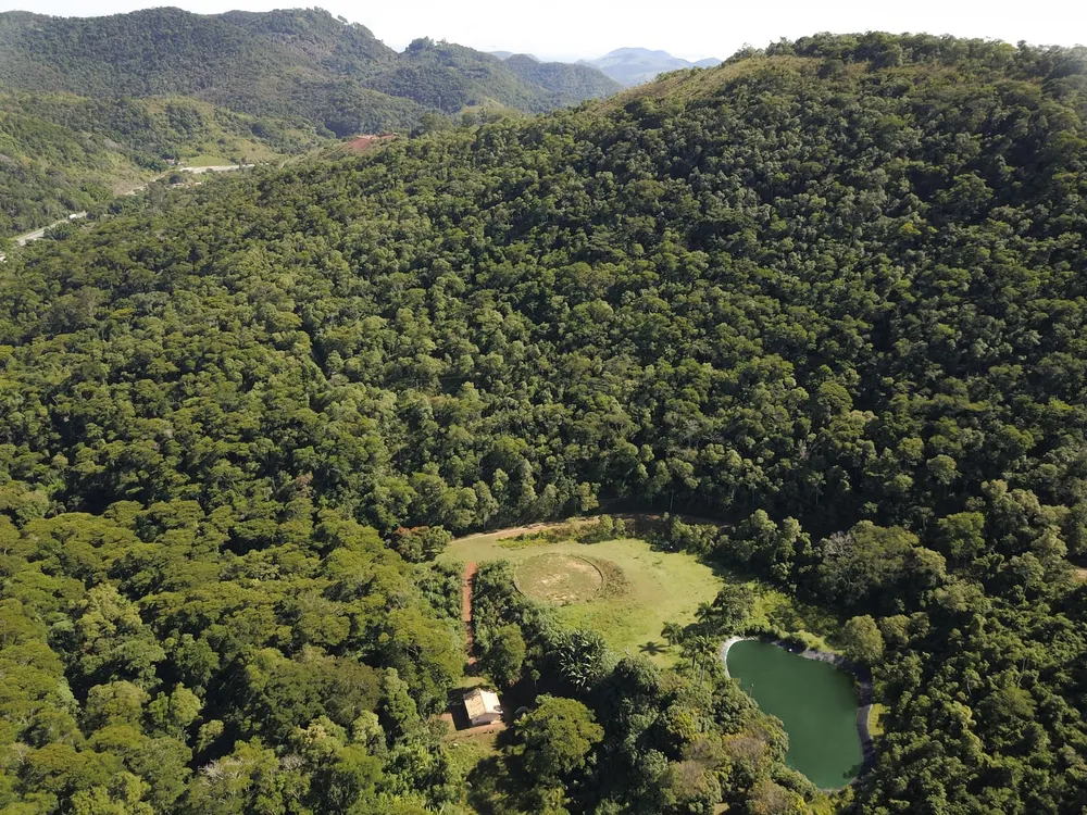 Terreno, 2 hectares - Foto 4