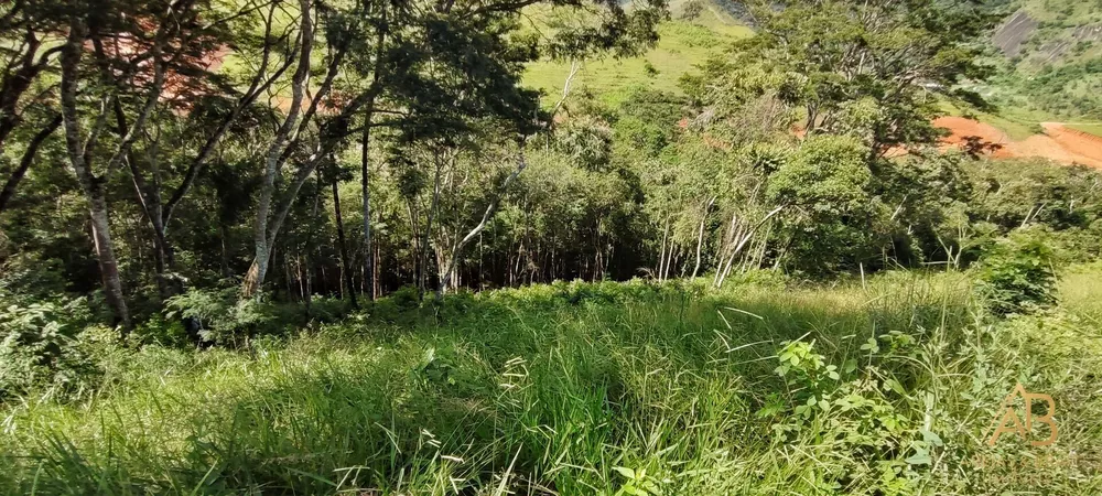 Terreno, 2453 m² - Foto 7