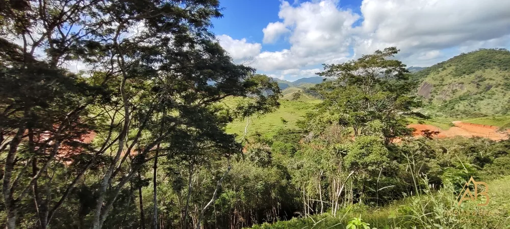 Terreno, 2453 m² - Foto 6