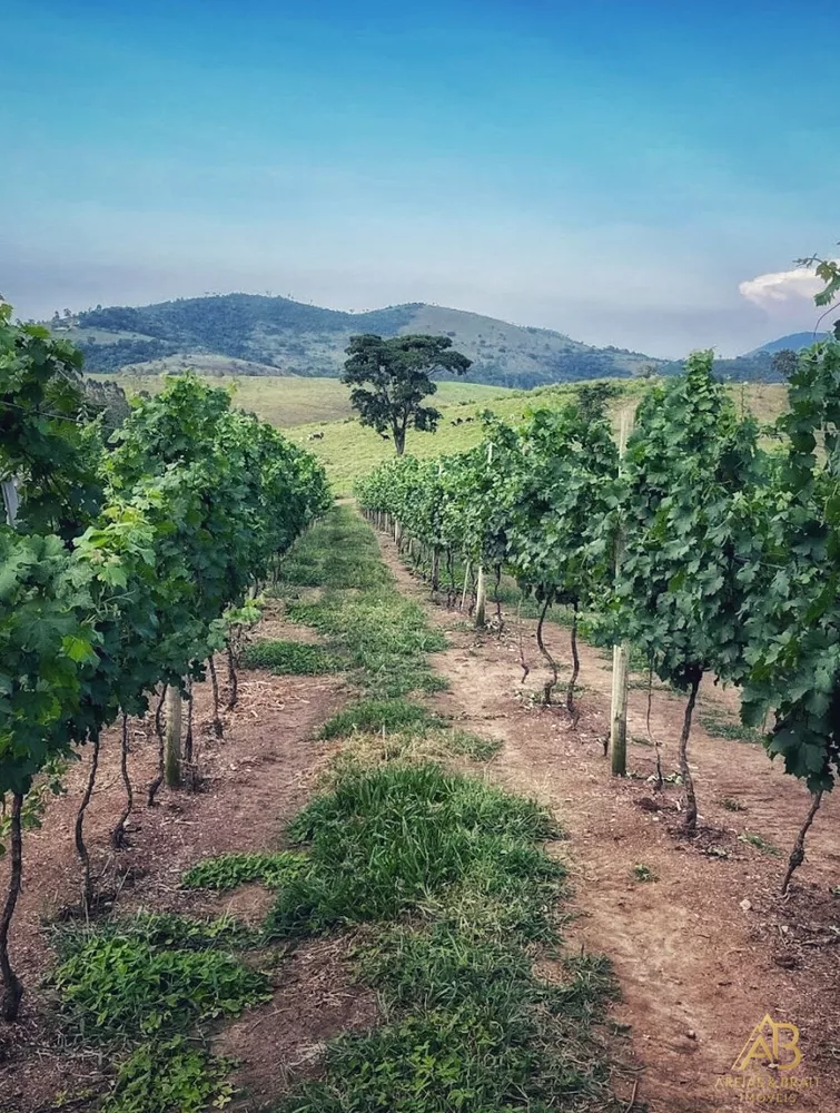 Terreno, 2453 m² - Foto 17