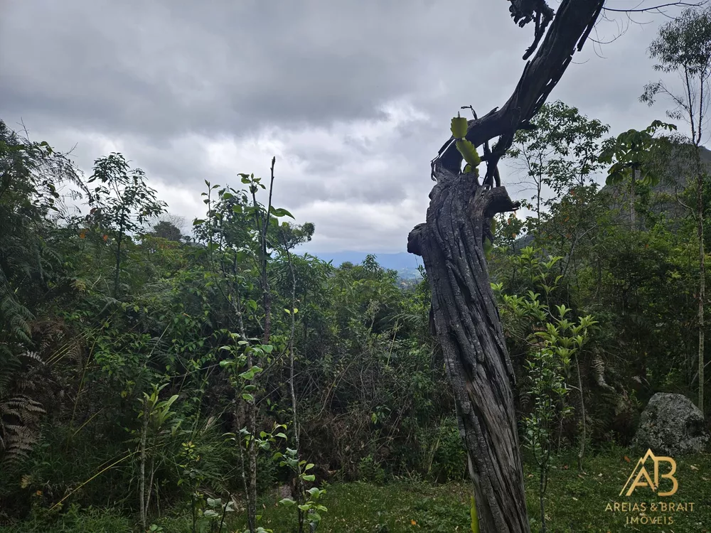 Chácara, 9 quartos, 3 hectares - Foto 62