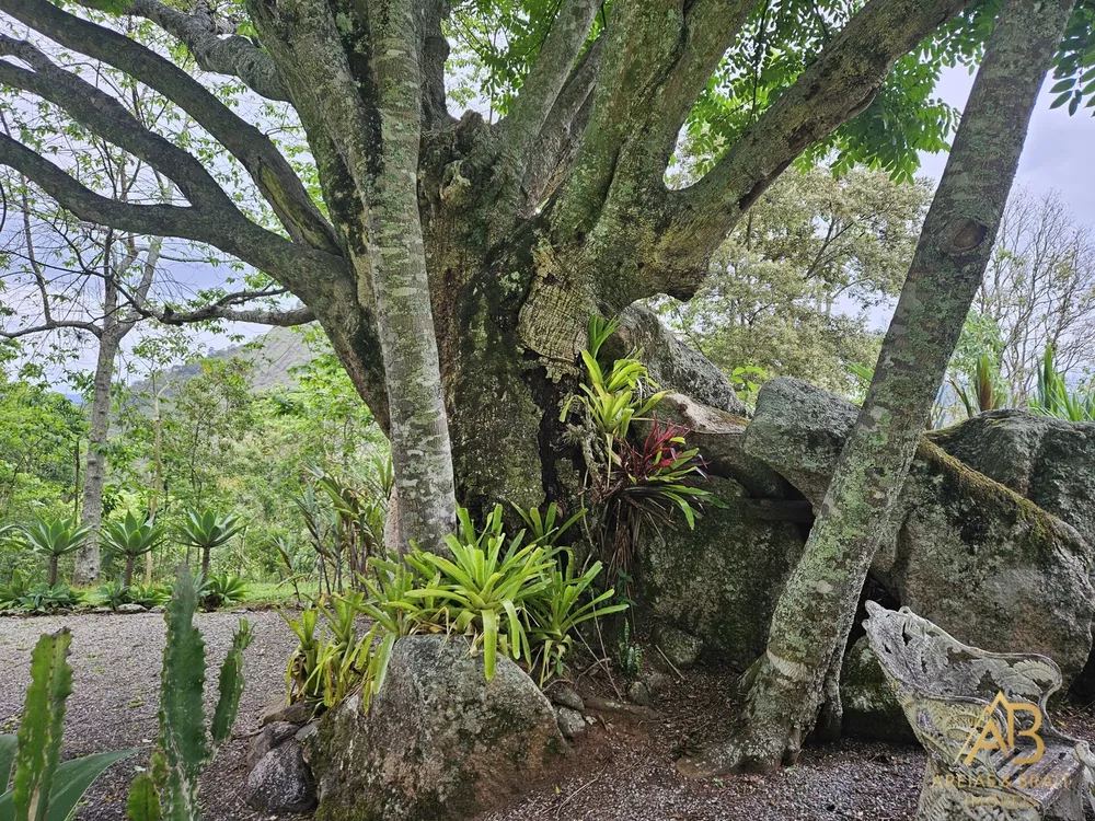 Chácara, 9 quartos, 3 hectares - Foto 73