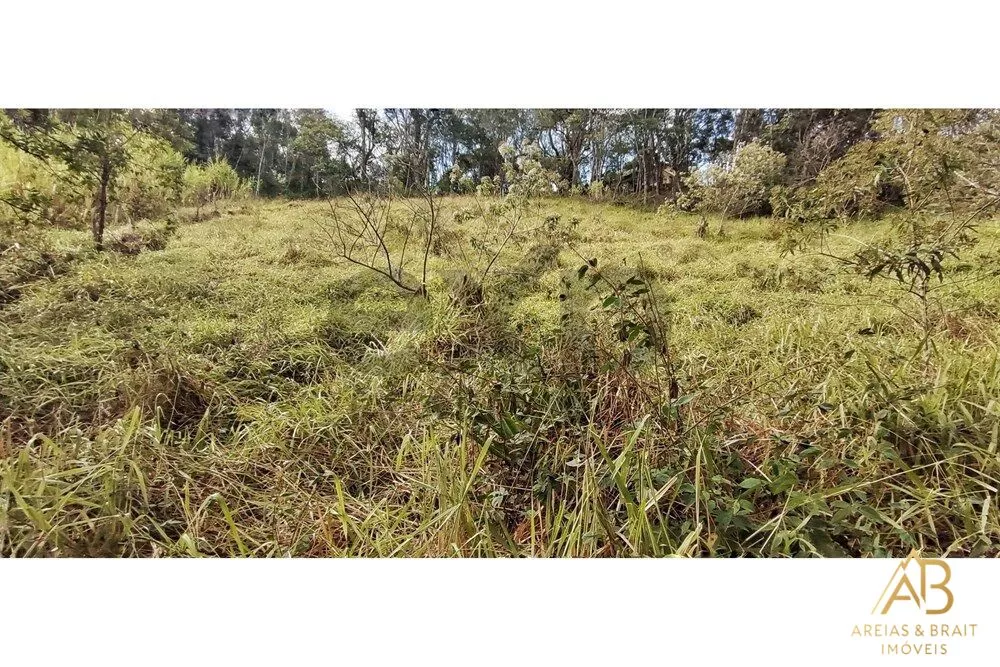 Terreno, 3820 m² - Foto 5