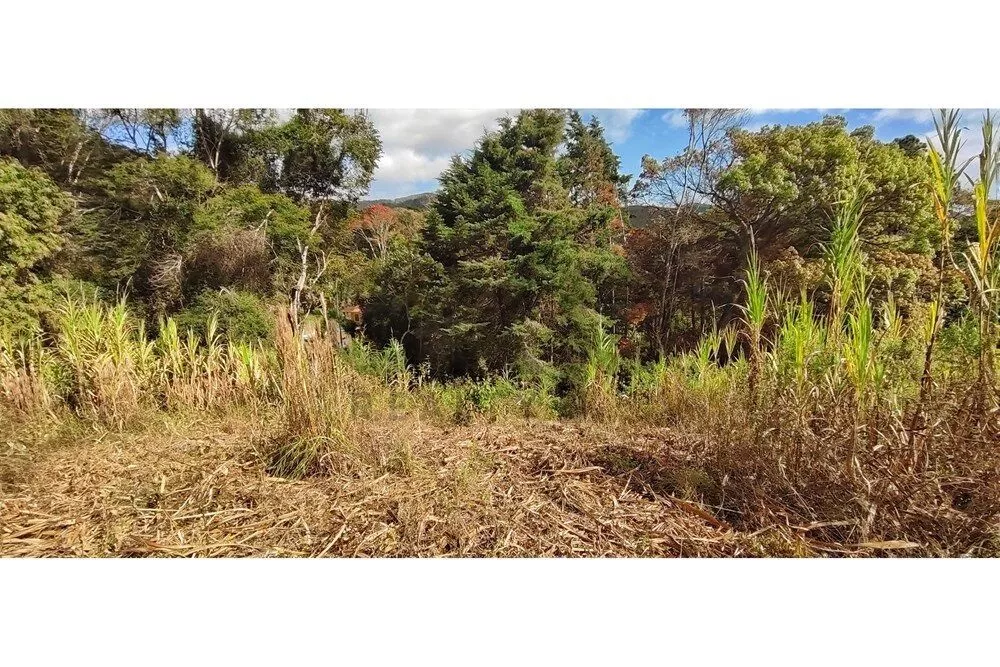 Terreno, 3820 m² - Foto 20