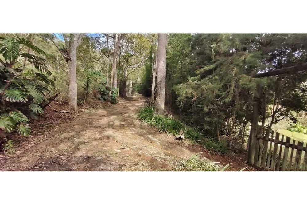 Terreno, 3820 m² - Foto 69