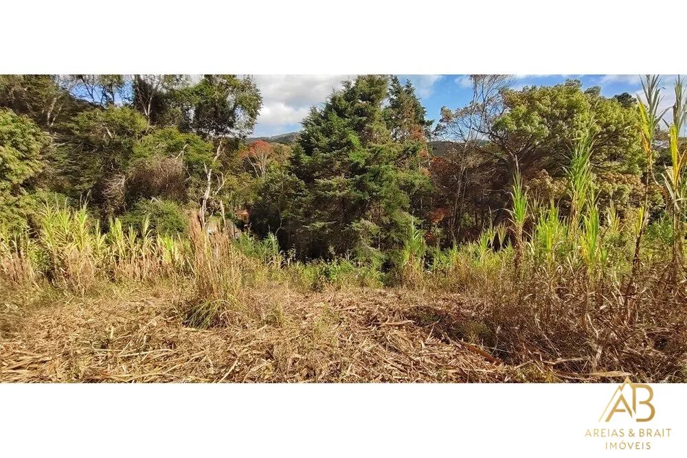 Terreno, 3820 m² - Foto 4