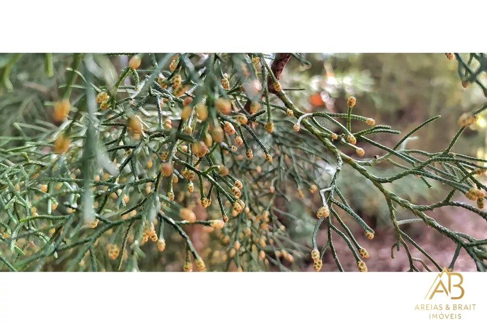 Terreno, 3820 m² - Foto 70