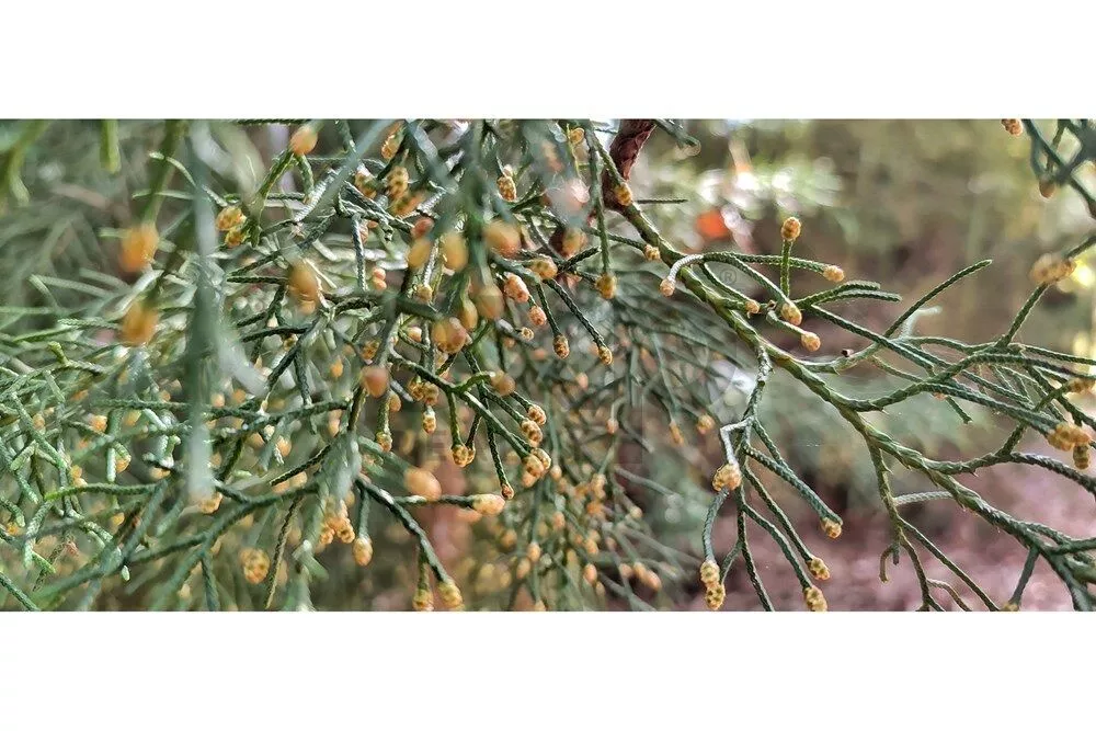 Terreno, 3820 m² - Foto 51