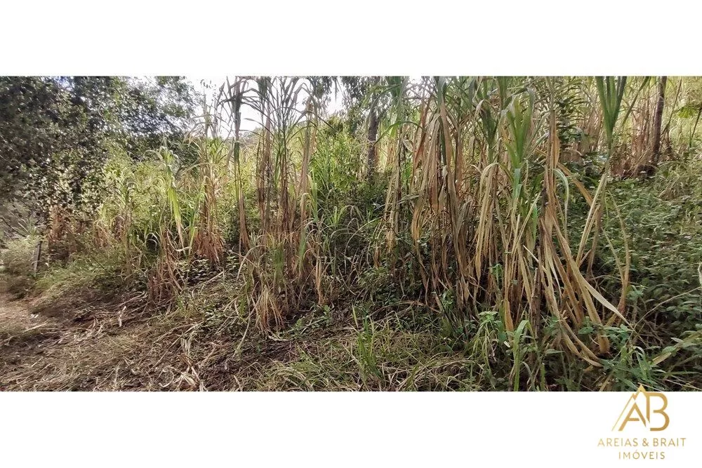 Terreno, 3820 m² - Foto 12