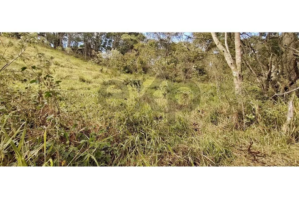 Terreno, 3820 m² - Foto 33