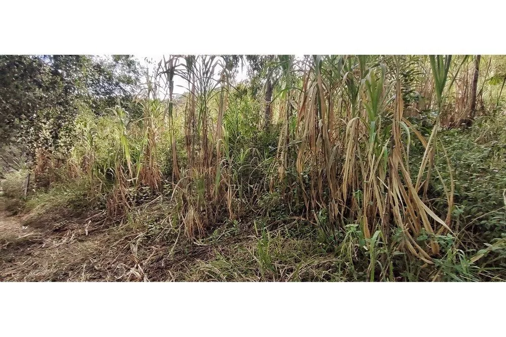 Terreno, 3820 m² - Foto 67