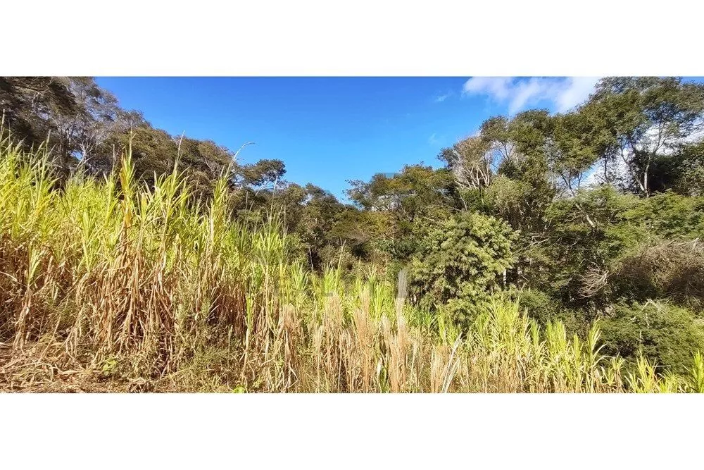 Terreno, 3820 m² - Foto 10