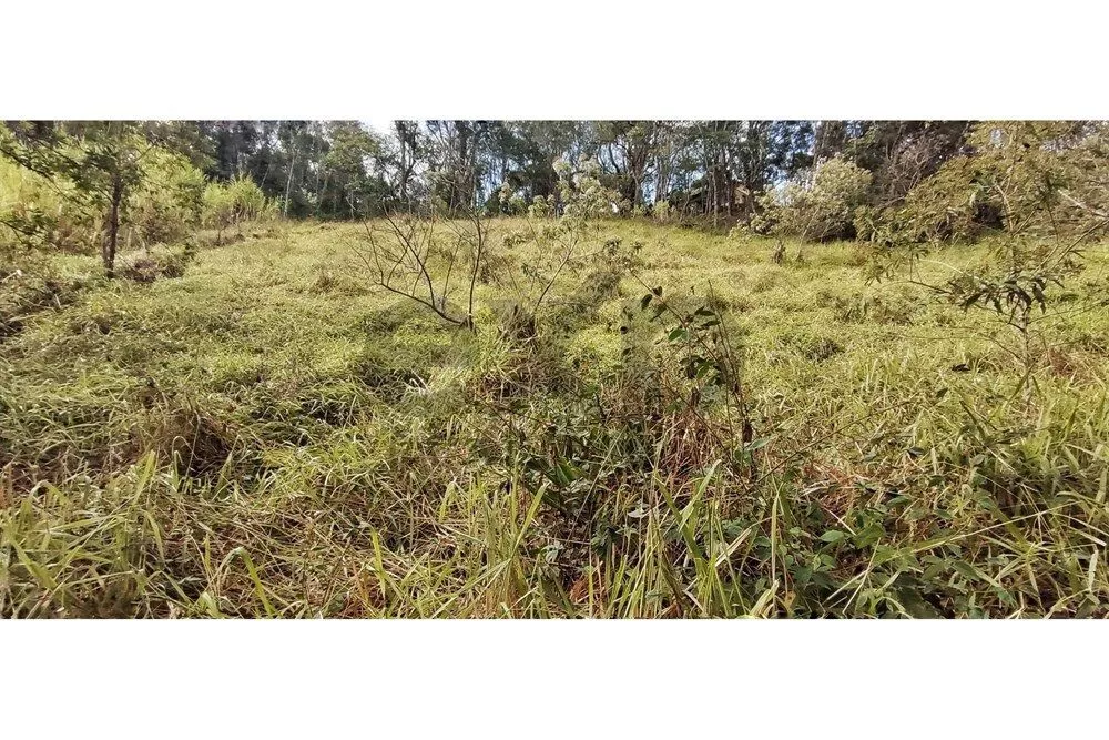 Terreno, 3820 m² - Foto 54