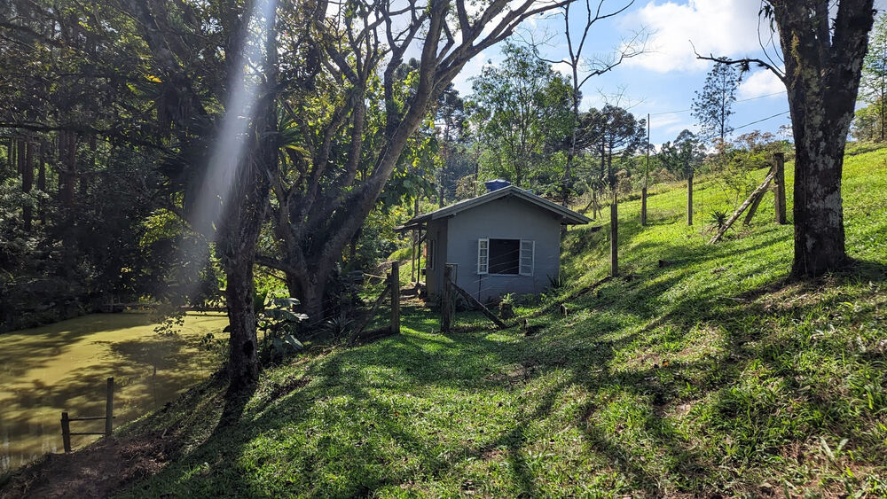 Sítio, 11 hectares - Foto 15