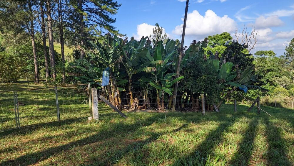 Sítio, 11 hectares - Foto 1