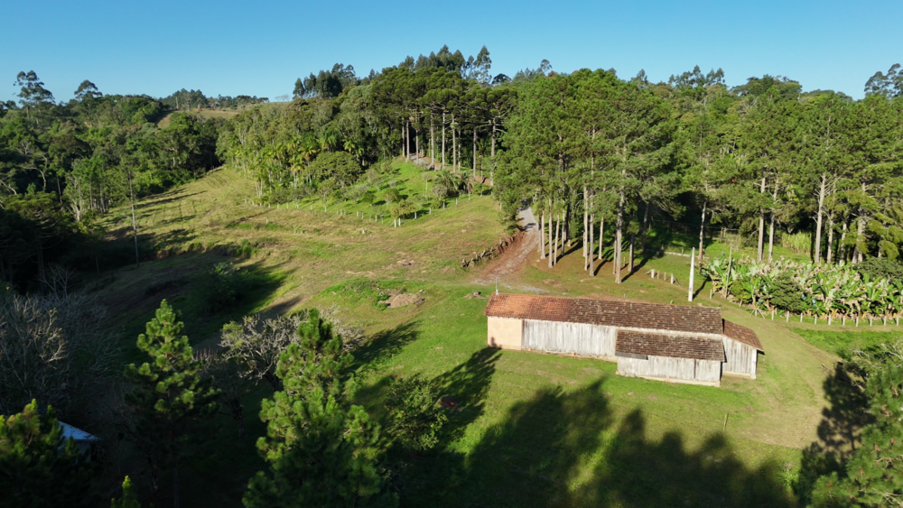 Sítio, 11 hectares - Foto 11