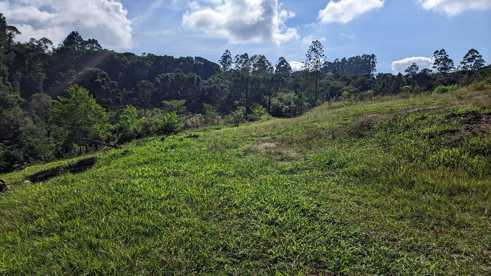 Sítio, 11 hectares - Foto 2