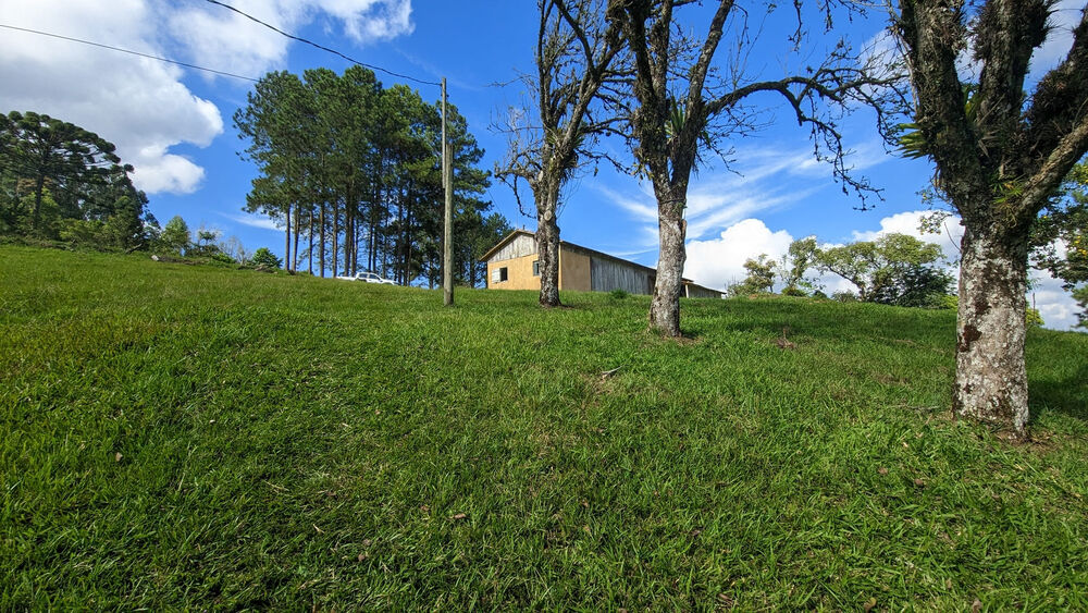 Sítio, 11 hectares - Foto 6