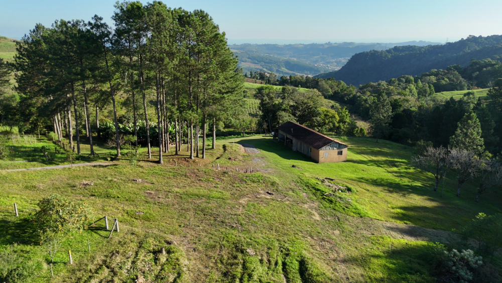 Sítio, 11 hectares - Foto 9