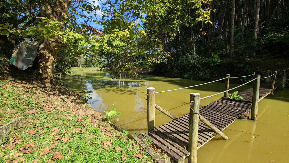 Sítio, 11 hectares - Foto 17