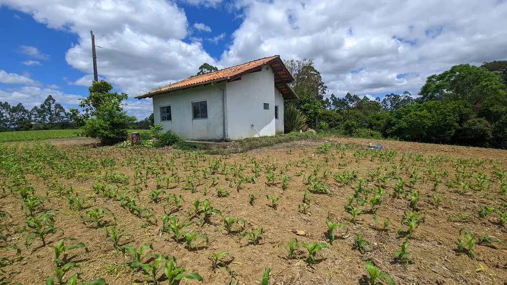 Sítio, 2 quartos, 6 hectares - Foto 6