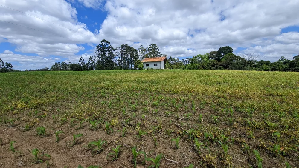 Sítio, 2 quartos, 6 hectares - Foto 7