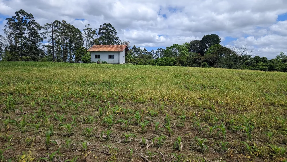 Sítio, 2 quartos, 6 hectares - Foto 8