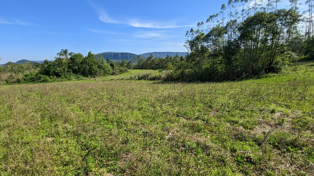 Terreno, 5 hectares - Foto 19