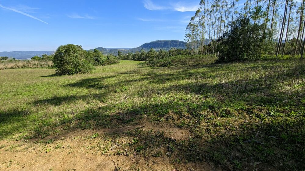 Terreno, 5 hectares - Foto 18