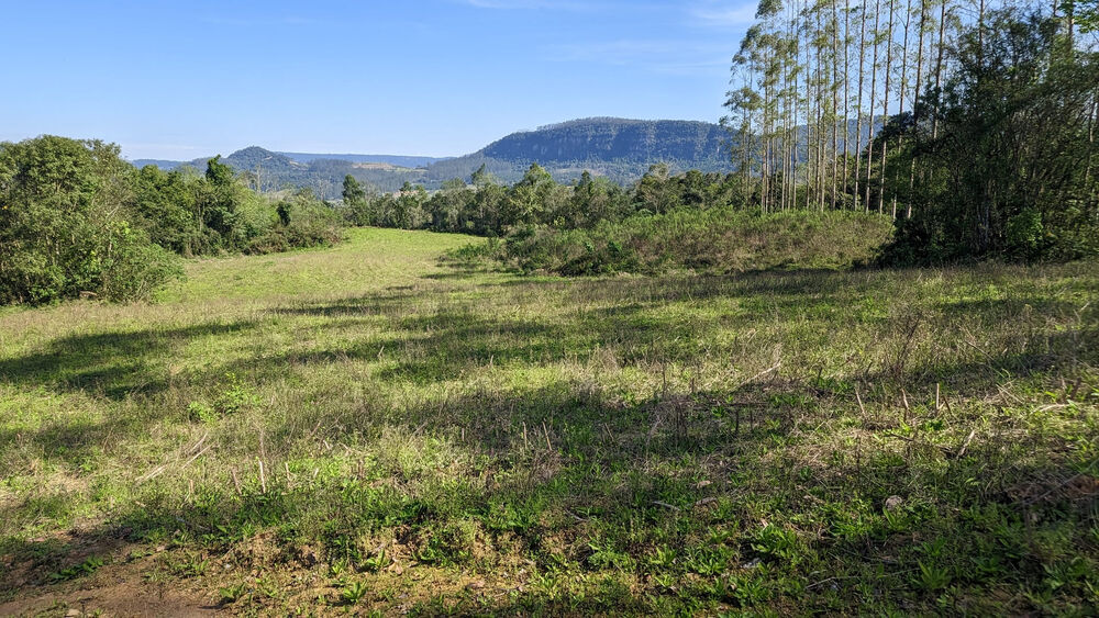 Terreno, 5 hectares - Foto 7