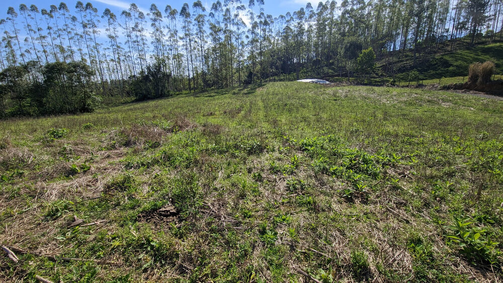 Terreno, 5 hectares - Foto 3