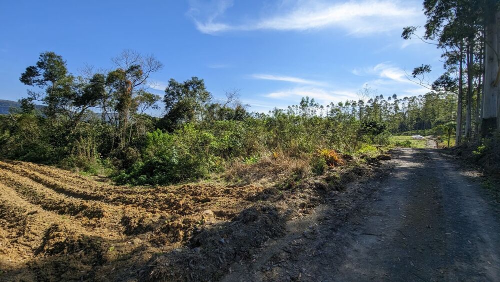 Terreno, 5 hectares - Foto 6